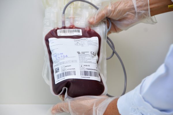 Doadores de sangue são atendidos por profissionais do Hemoal em sala de coleta