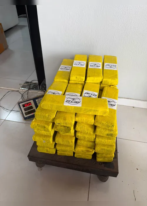 Tabletes de drogas e caixas de cigarros eletrônicos apreendidos em fiscalização em Arapiraca