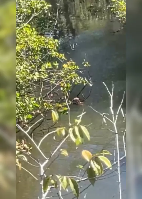 Área isolada próxima ao rio onde um corpo foi localizado na Barra de Santo Antônio