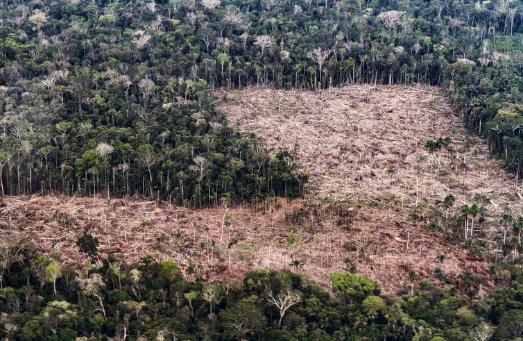 Vista aérea de área desmatada e degradada na Amazônia, no Acre, em foto de arquivo