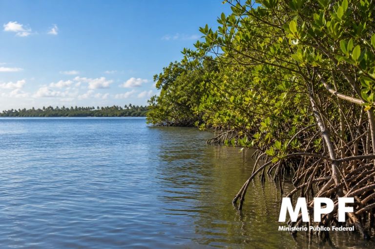 Área de manguezal às margens da Laguna Mundaú, em Marechal Deodoro, em foto de arquivo